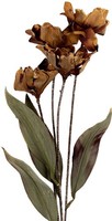 Clayre & Eef 6PL0403BR Dekoration Zweig Mit Blumen 8X5X60 Cm Braun
