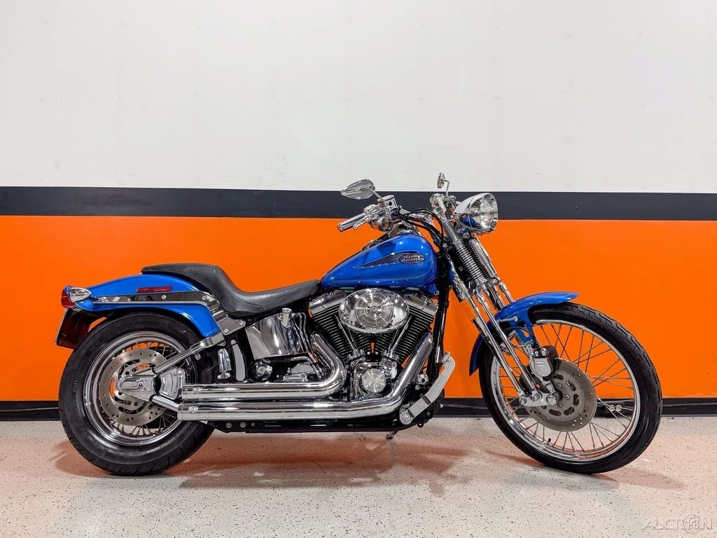 2004 Cruiser Harley-Davidson Softail for sale | eBay