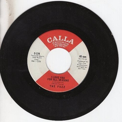 Fuzz - I Love You For All Seasons / I Love You For All Seasons 7" 45 - Picture 23 of 24