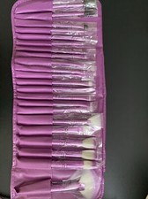 Brush Kit, for Eye Shadow  Liner, 22 Piece Set With Case