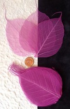 25 leaves Orchid red-purple Po Bo Banyan skeleton leaf see through Cards Med