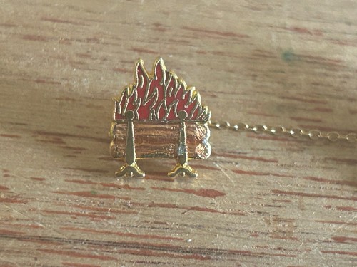 Cooperative Extension Service Anstecknadel 25 Jahre Member Service Award Pullover Pin - Bild 10 von 18