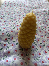 medium pine cone