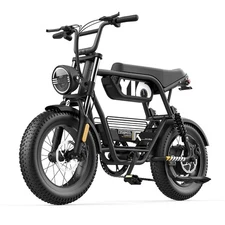 Coswheel Electric Dirt Bike 1000W Peak 48V15Ah Off Road E Motorcycle 28MPH 52Mi