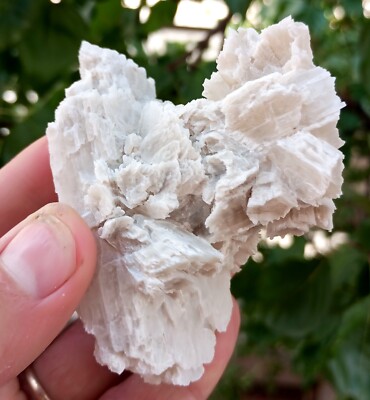Rare Meyerhofferite Crystal From Turkey