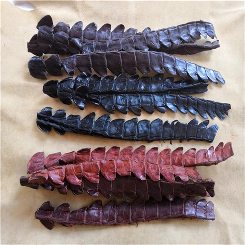2pcs Genuine Real Alligator Crocodile Skin Leather Hide Pelts DIY Accessories - Picture 3 of 18