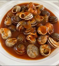 Lumache Rigatella gastronomia  allevate all'aperto in Italia