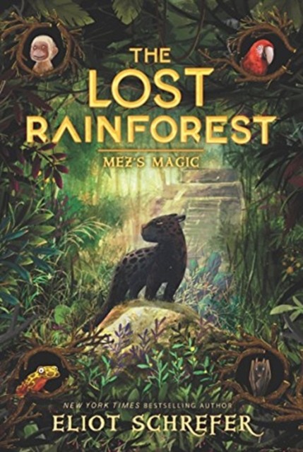 THE LOST RAINFOREST #1: MEZ'S MAGIC,Eliot Schrefer - Image 3