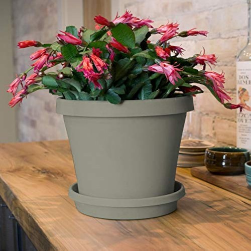 Bloem Terra Pot Planter (TR0683), Pebble Stone, 6", 6". - Picture 5 of 7