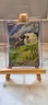 Pokemon TCG - Hop's Wooloo #170/159 - Journey Together - Illustration Rare NM/M