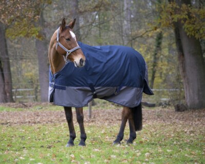 Equitheme Outdoordecke Weidedecke TYREX 600 D mit Nylonfutter