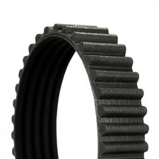 Courroie de distribution Rover 2000