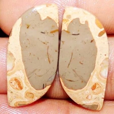 32.95 Cts Untreated Natural COFFEE JASPER Pair Fancy Cabochon Gemstone 15X30X4mm