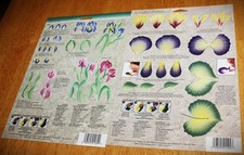 Plaid: FOLK-ART ONE STROKE PAINTING SET Reusable Teaching Guide 1104, 1139 2