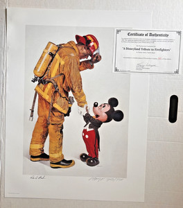 disneyanashopper on eBay