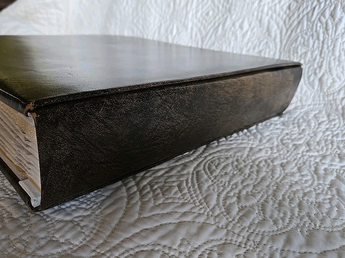 Picture 5 of 16