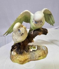 1940's royal crown derby parakeets Budgerigar birds on a branch w Flowers- READ