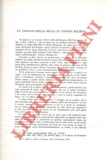 Archeologia - Tombe - CAPUTO - La tholos della Mula in un nuovo rilievo.