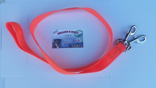Dog lead double clip hound pet greyhound pig dog 25mm 6 colours - Picture 13 of 13