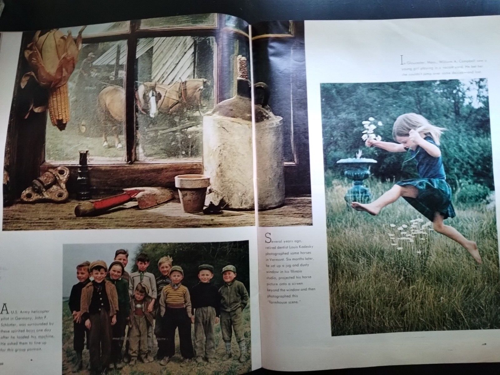 Picture 6 of 11