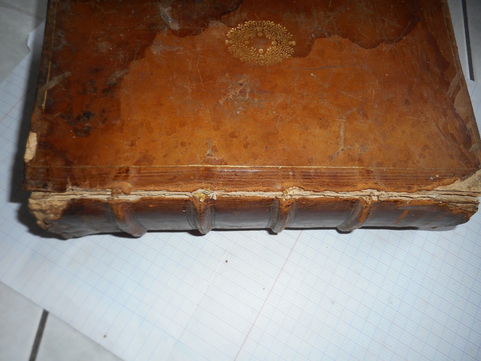 Bild 11 von 11