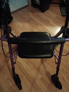 Purple Walker With Set. Not Sure The Brand But Works Well