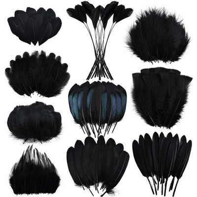 300 pcs Black Craft Feathers- 10 Style Mixed Natural Feather for DIY Earring ...