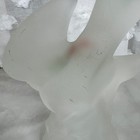 Picture 6 of 10