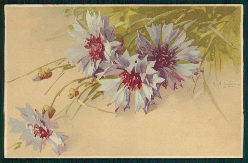 Libro firmato artista Catherine Klein fiori Meissner serie 1402 cartolina TC6820