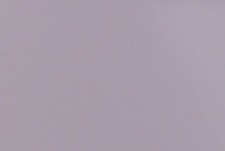 Wood Veneer Panel - White - 81" x 48" x 2.7mm