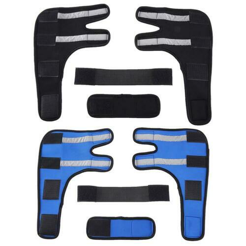 Crocchette DeliVit Adult Per Cani - 20kg - Con Carni, Cereali E Vitamine - Made In Italy - Foto 10