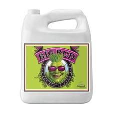 Advanced Nutrients GL525050-12 Big Bud Liquid Fertilizer 250 mL Brown