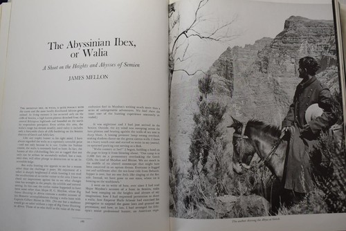 AFRICAN HUNTER, Mellon 1975. Safari Africa Big Game Hunting Classic HB/DJ 1st Ed - Imagen 5 de 7