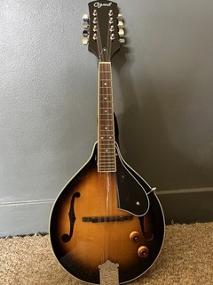 Ozark A Style Electric Mandolin with Case and Gig Bag Great Condition