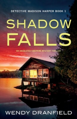 Find My Child: An Absolutely Gripping Mystery Thriller