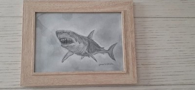 Pencil Drawing Great White Shark Graphite/charcoal 5''×7'' Framed and Signed