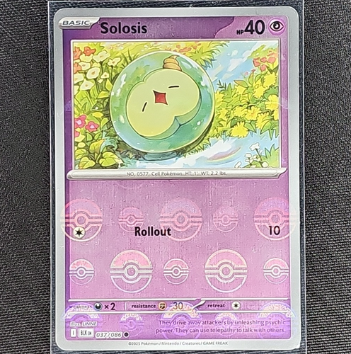 Solosis Black Bolt Jp 123 Japanisch main image 1