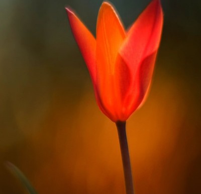 Karcher K 4 Aldi 1800 Watt Hochdruckreiniger Max 420 L H Ebay