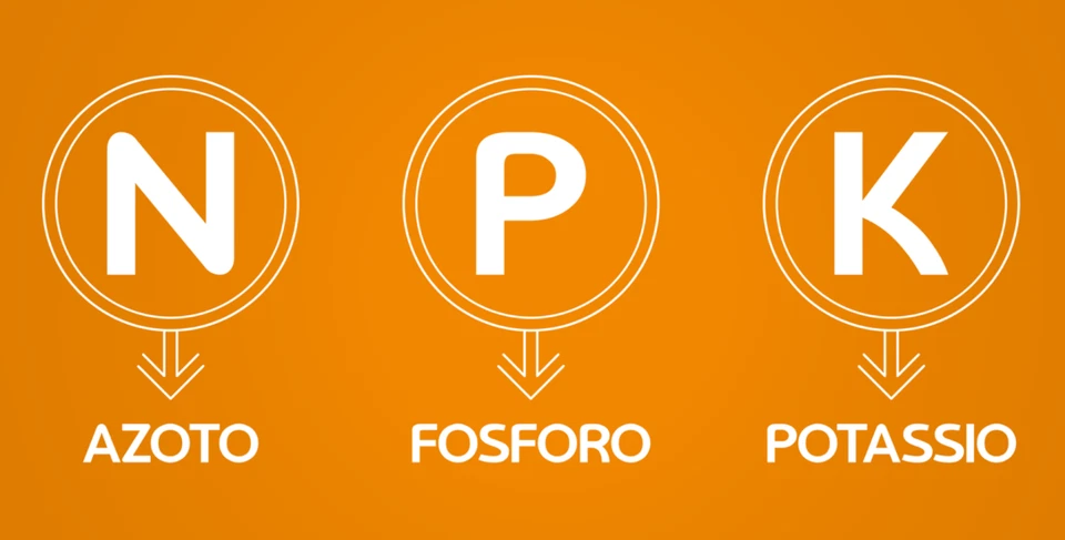 NPK ORO NUTRE FINO A TRE MESI (azoto fosforo potassio) SUPER CONCIME UNIVERSALE - Immagine 2 di 4