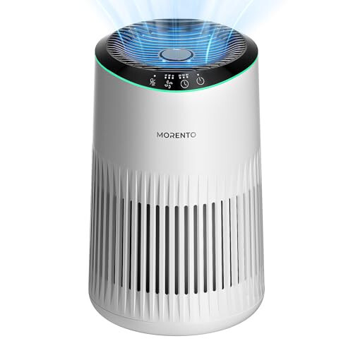 Air Purifiers for Home, Air Purifier for Smoke Pet Dander Odors with Fragrance S