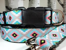 Southwest Dog Collar, Martingale, or Leash