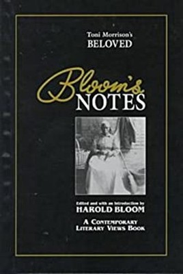 Toni Morrison's Beloved Hardcover