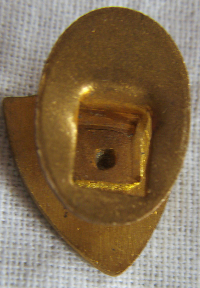BG6874 - INSIGNE BADGE SCOUTISME FRANÇAIS