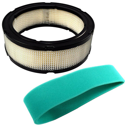 Filtro Aria Briggs & Stratton Filtro Aria E Pre-filtro Per Motori Briggs & Stratton - Compatibile Con Modelli 394019, 398825, 272490 Prefiltro Motore Tosatore - Foto 2