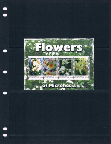 $7.25 Scott Value - 2007 MICRONESIA Flowers s/s South Pacific CV MNH NH UMM - Picture 2 of 4