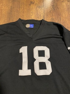 Vintage Oakland Raiders Jersey Medium Black NFL Randy Moss #18