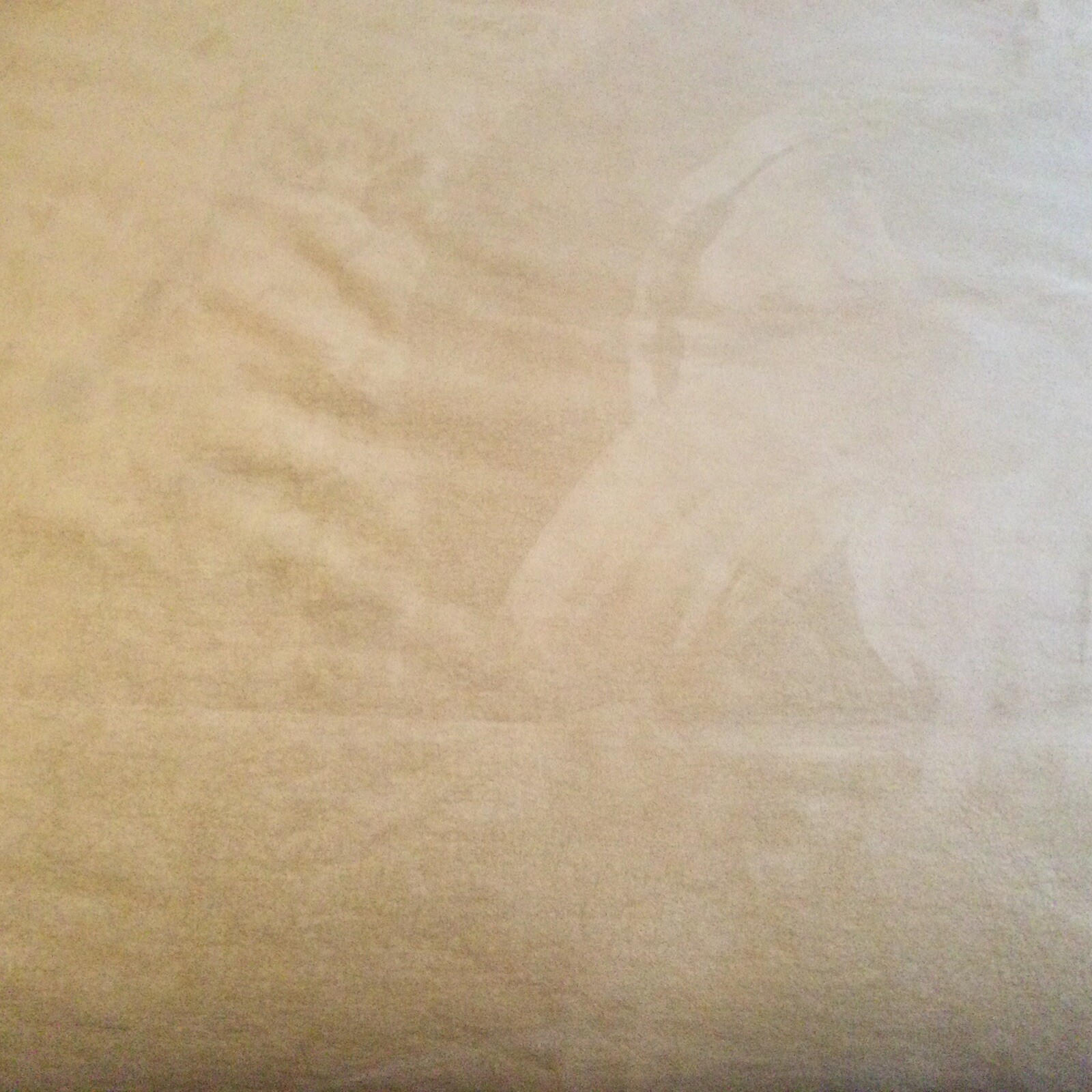 Picture 3 of 3