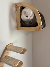 Wooden Wall-Mounted Cat Bed Convertible Platform Set With Stairs