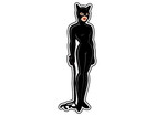 Catwoman #1 Comic Sticker Waterproof Vinyl Decal Die-Cut Car Laptop