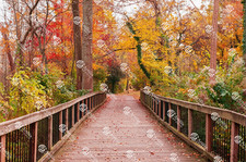 Digital Image Picture Photo Wallpaper Background Desktop AI Art Sample Product81